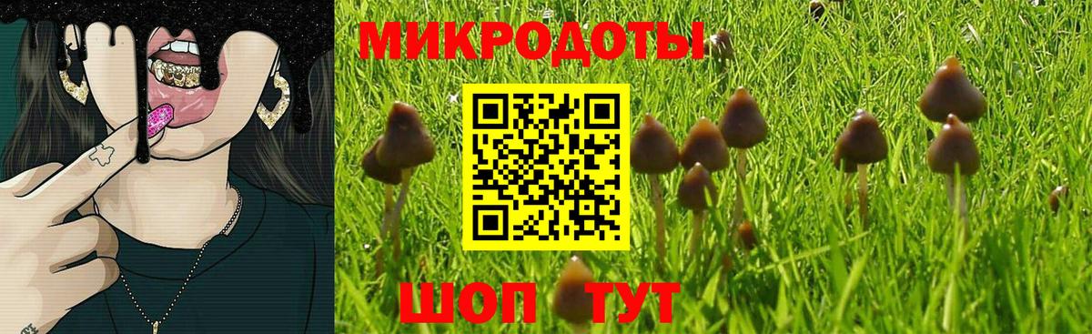 Псилоцибиновые грибы GOLDEN TEACHER Новокубанск
