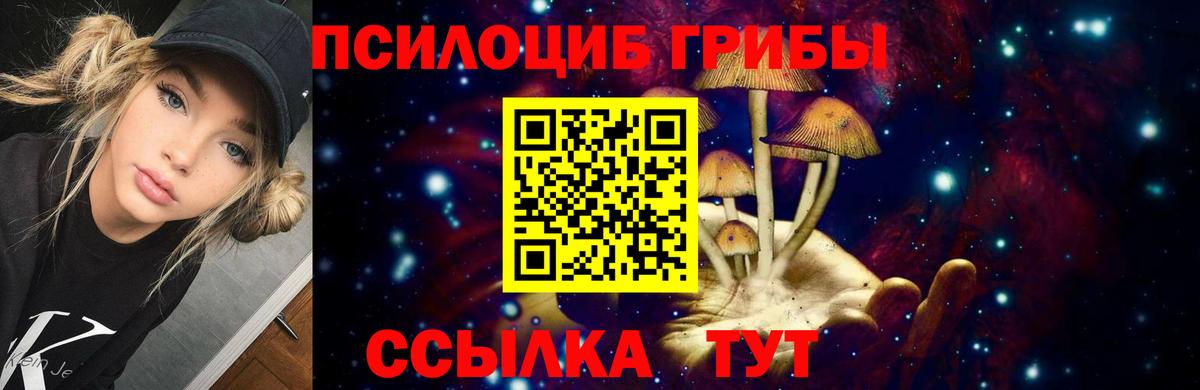Галлюциногенные грибы Cubensis  Галлюциногенные грибы MAGIC MUSHROOMS  Вход с VPN  Новокубанск 